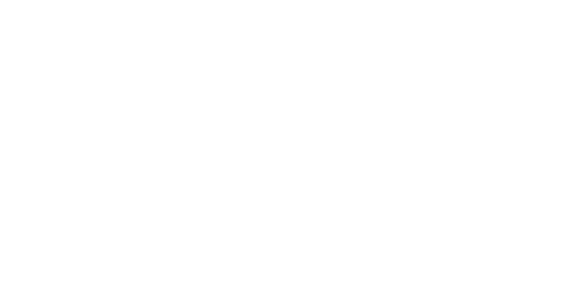 FAU Libraries Logo